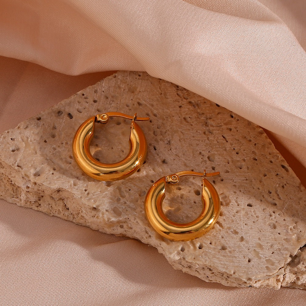 Stainless Steel Smooth Round Earrings
