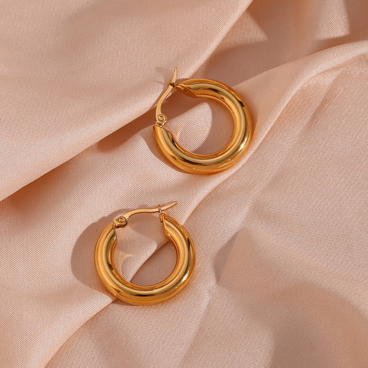 Stainless Steel Smooth Round Earrings