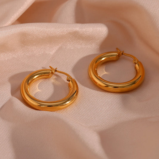 Stainless Steel Smooth Round Earrings