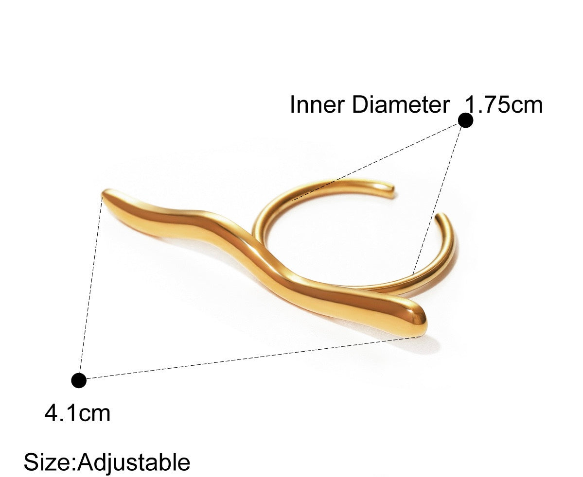 Stainless steel geometric rings