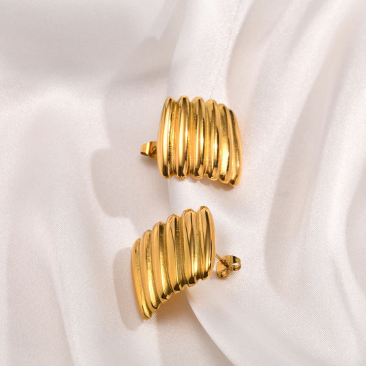 Irregular shaped stainless steel earrings